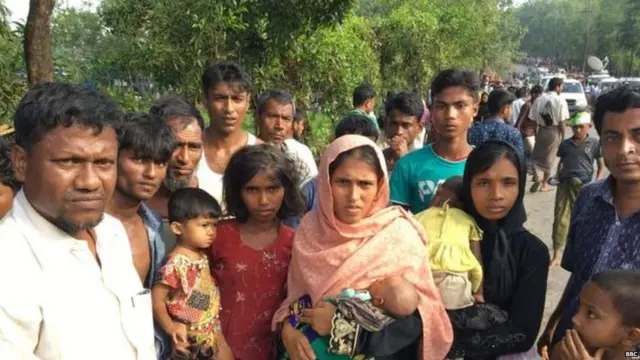 Rohingya