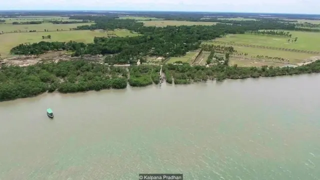 સુંદરવન વિસ્તારમાં ત્રણ મોટી નદીઓ દરિયાને મળે છે