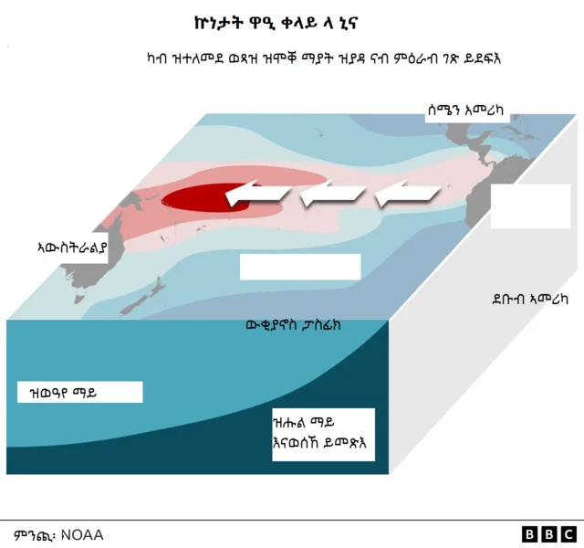 ላ ኒና ክህሉ እንከሎ ዝህሉ ዋዒ ቀላይ