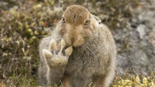 ‘ኬፍ ብጾት!’