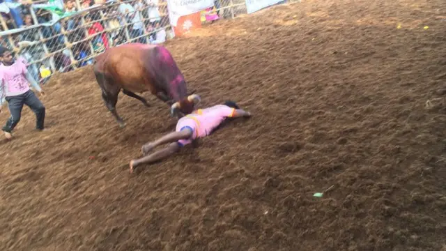 முடிவடைந்தது அலங்காநல்லூர் ஜல்லிக்கட்டு