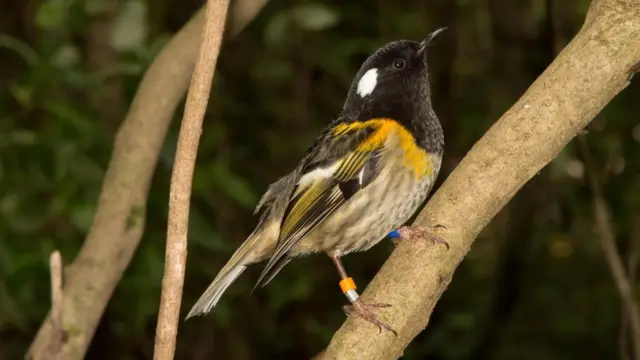 زيارة إلى المحمية التي وُضِعَت لها خطة تطوير لمدة 500 عام