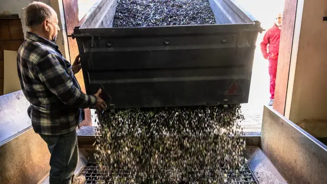 Les régimes riches en graisses polyinsaturées, comme l'huile d'olive, contribueraient à réduire le risque de maladies cardiaques.