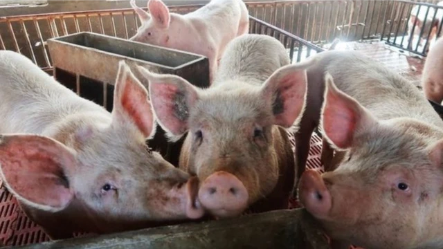 ????????????????????????? ?????????????????????????????????????????????????