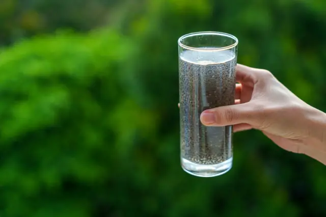 चिया सीड्समध्ये भरपूर प्रमाणात फायबर असतं.