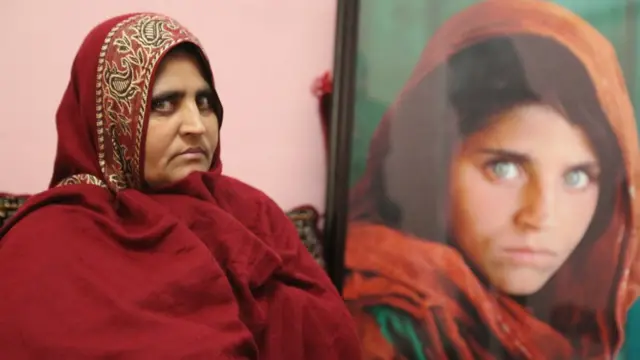 تصویری از شربت گل