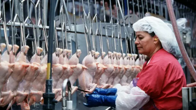 کشتارگاه مرغ در ایالت آرکانزاس آمریکا