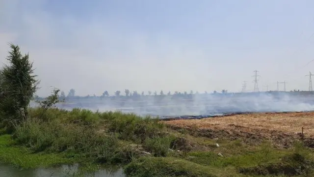 Ёниб кетган майдон