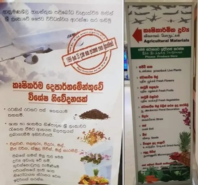 Sri Lanka Customs