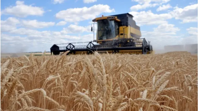 Урядовці твердять, що на ринку землі хочуть підтримати фермерів. Проте на здешевлення кредитів для них у проєкті бюджету поки що закладено 4,4 млрд грн.