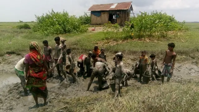 খাল-বিলে পানি কমে গেলে কাদাপানিতেও পাওয়া যায় ছোট ছোট মাছ।