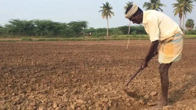 வேலை செய்யும் தொழிலாளி