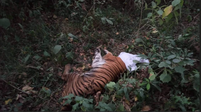 शिवपोथी