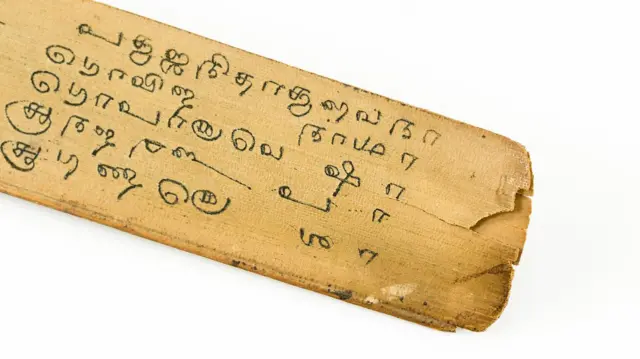 தமிழுக்கும் ஜப்பானிய மொழிக்கும் இருக்கும் ஒற்றுமைகள் தெரியுமா?