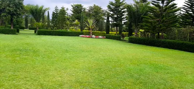 በኮምቦልቻ ከተማ የሚገኘው ሰናይት መናፈሻ