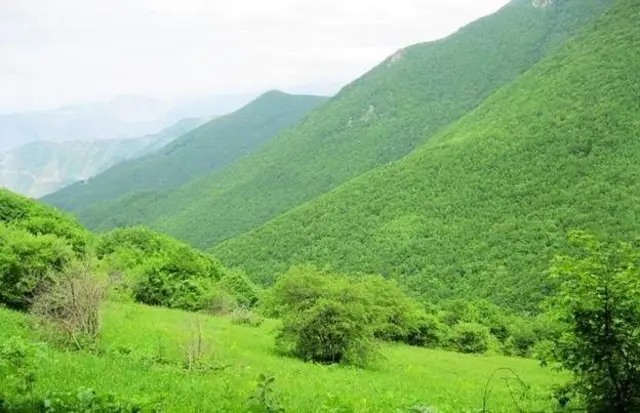 Rəisi İran prezident