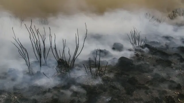 burnt ground