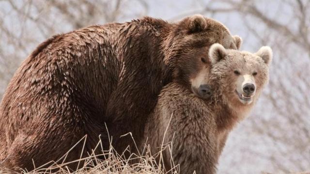 Мужчина и четыре девушки подрались возле бара в Атырау