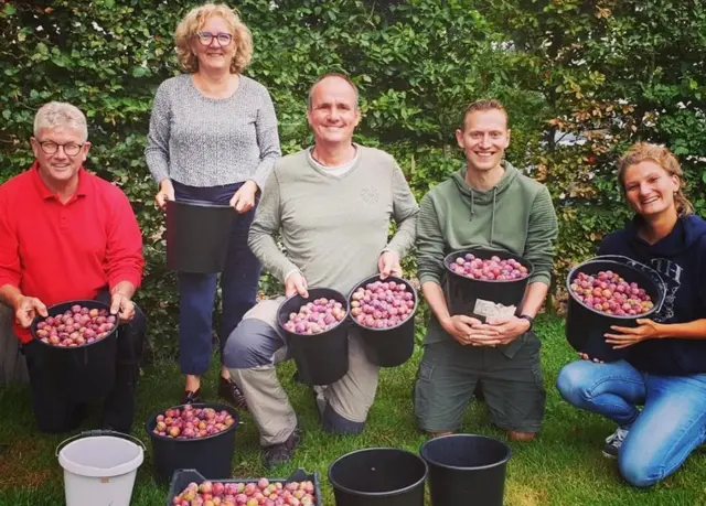 Vergeten Fruit