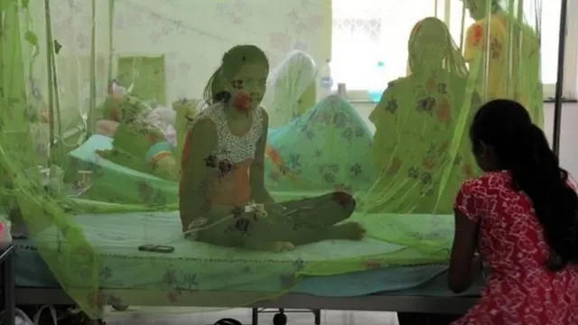 భారత‌ దేశంలోని రెండు తెలుగు రాష్ట్రాలతో పాటు పలు ప్రాంతాలలో మలేరియా ప్రబలుతుంటుంది