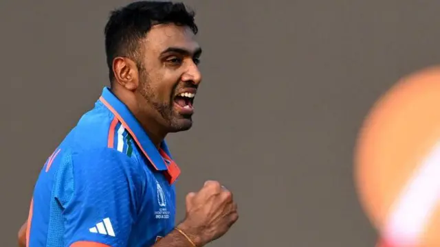 ரவிச்சந்திரன் அஸ்வின், கிரிக்கெட்