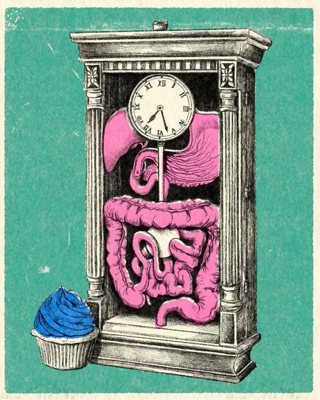 Кишківник і годинник 