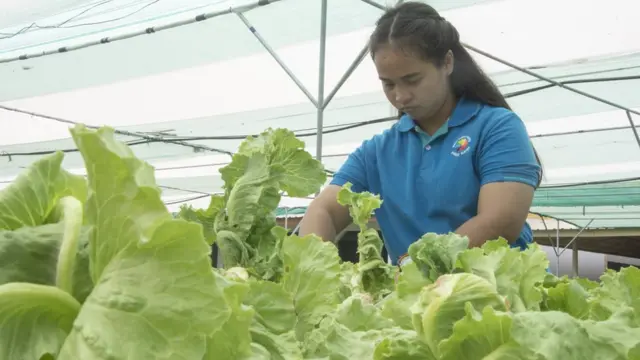 สิรินันท์ ทำหน้าที่ช่วยทำการเกษตรและงานด้านเอกสารที่โรงเรียนมีชัยพัฒนา