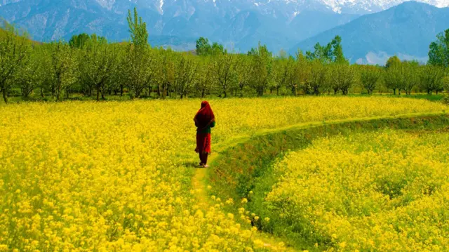 कश्मीरी महिला (सांकेतिक तस्वीर)