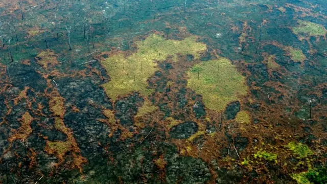 Incendios en la Amazonía