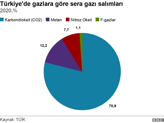 sera gazları