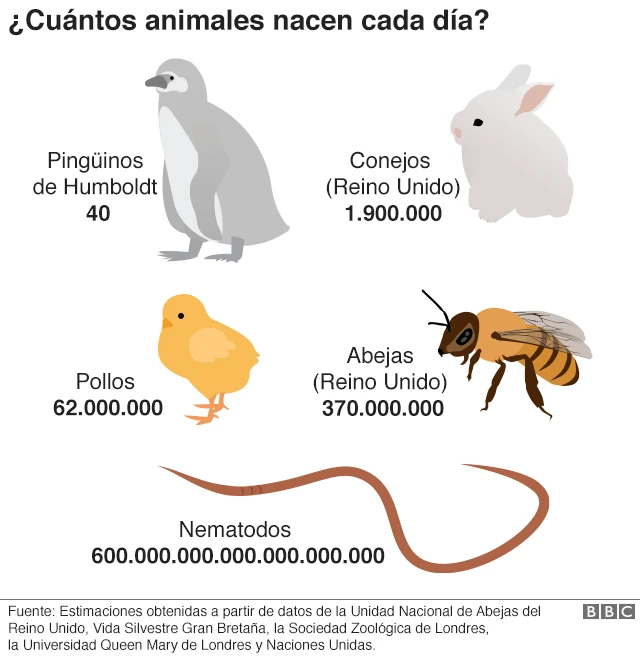 Nacimientos por animal