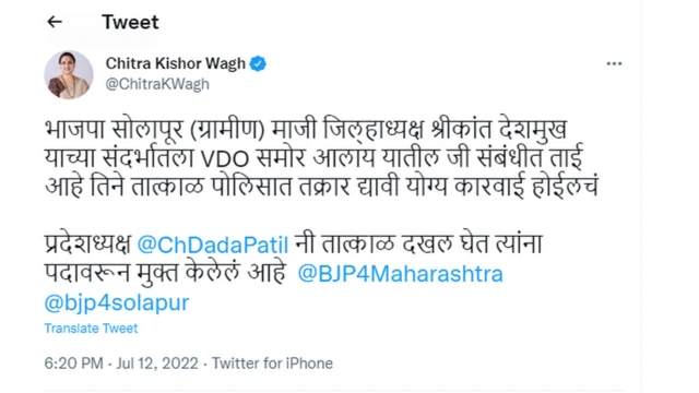 चित्रा वाघ