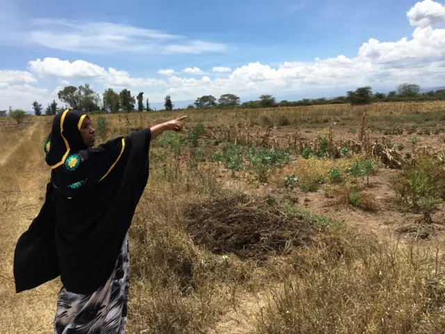 Waa haweeney ku nool magaalada Naivasha , weriyaha BBC-da Bashkas Jugsodhacay ayay farta ugu fiiqeysaa baaxadda dhulka ay lahaan jireen oo qaar kamid ah laga boobay.