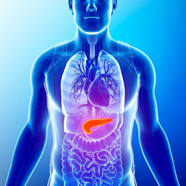 যদি অগ্নাশয় পর্যাপ্ত পরিমাণে ইনসুলিন তৈরি না করে, তাহলে নানা জটিলতা দেখা দিতে পারে।