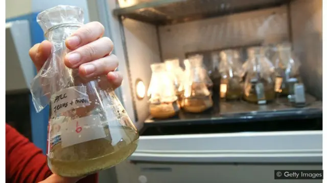 면-폴리에스터 혼합물을 균류에서 나온 효소와 섞으면 인공 섬유 재사용이 가능해진다