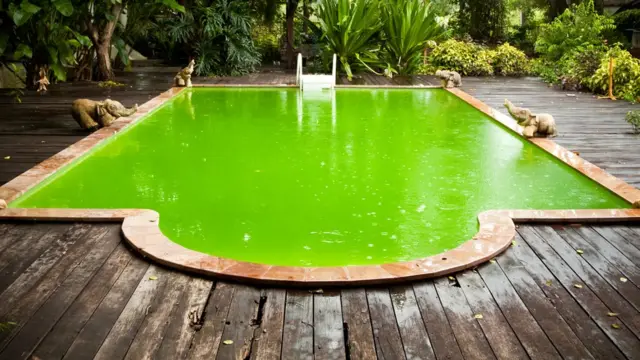 Piscina com água verde