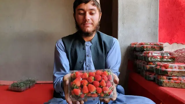 کندهار کې د ځمکې توتان