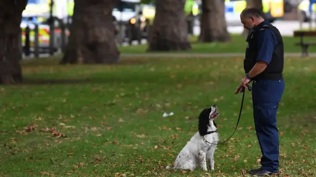 Кинолог с собакой