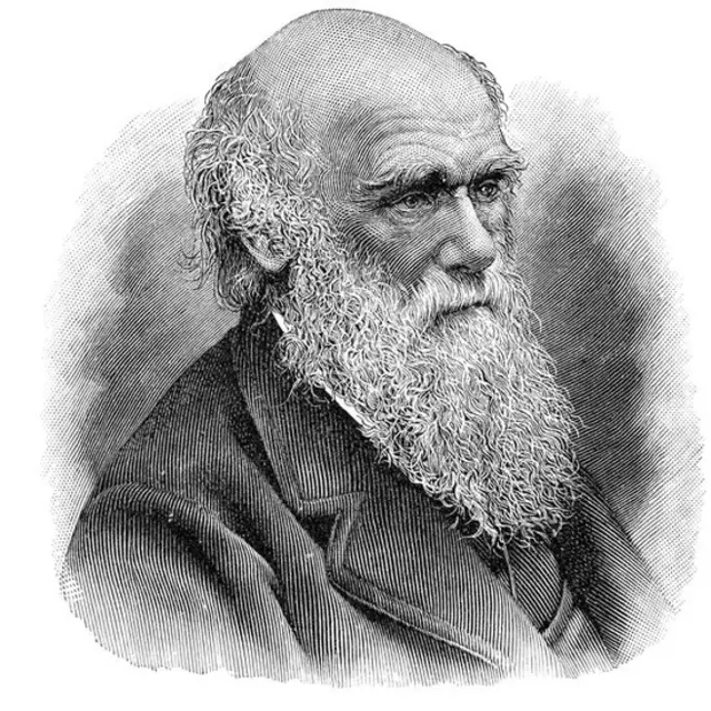 Dibujo de Charles Darwin