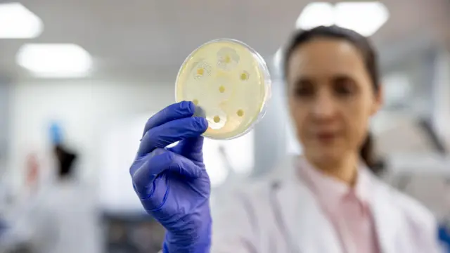 ਕਿਲਰ ਫੰਗਸ