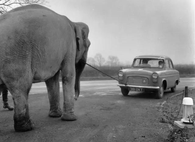 поламалася машина