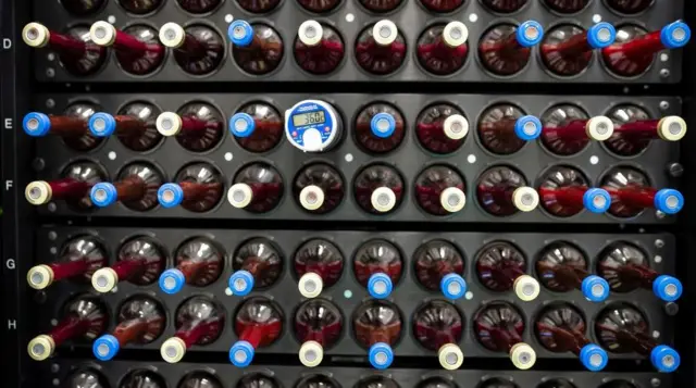 गर्भनाल कॉर्ड ब्लड बैंक