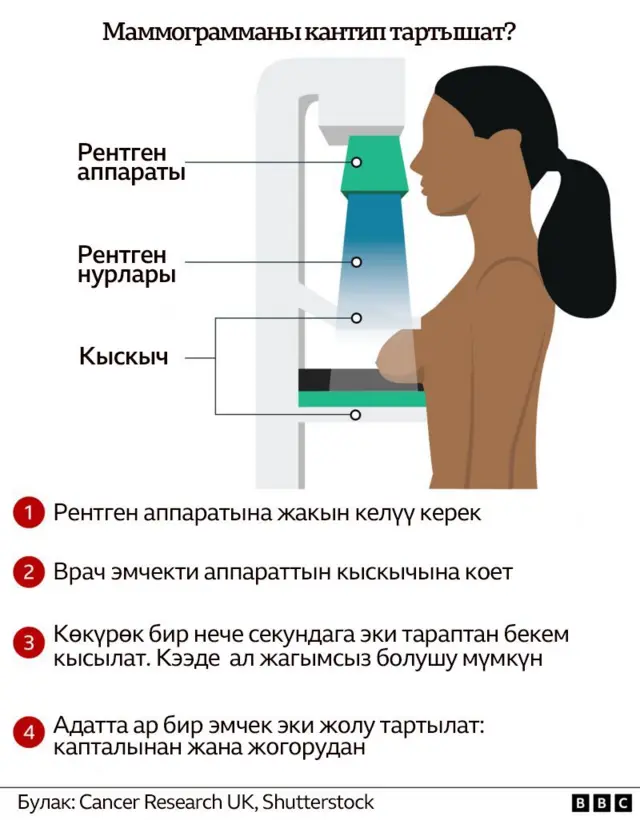 Маммография, ал эмчектин ичинде эмне бар экенин көрүү үчүн рентген нурларын колдонот
