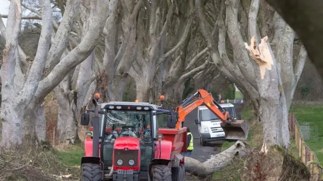 Дарк Хеджес