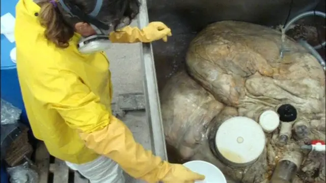 หัวใจวาฬ