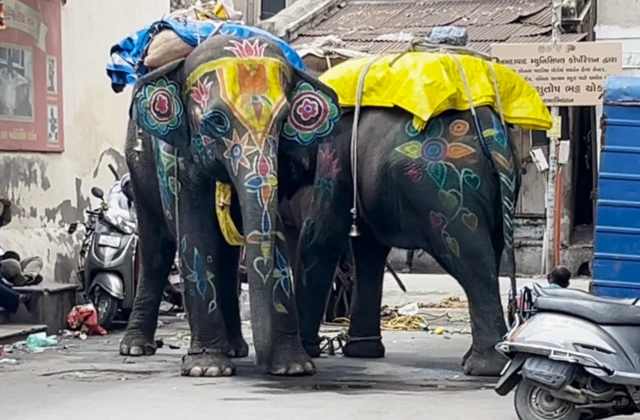 અમદાવાદ રથયાત્રા