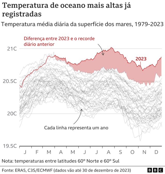 Grafico