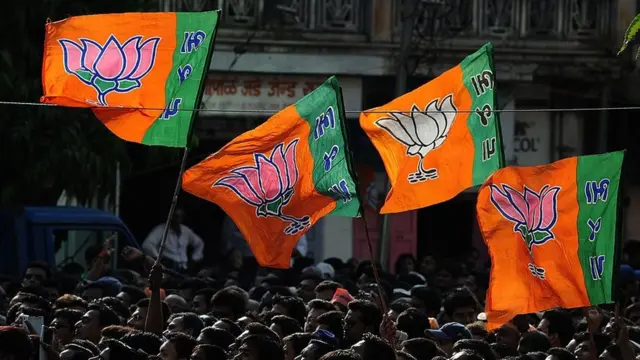 ભાજપનો ઝંડો