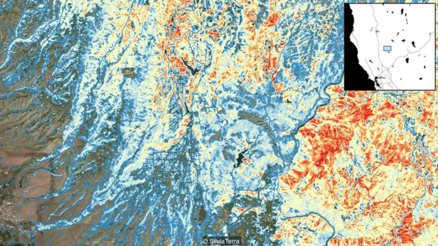 जंगल के आग पर काबू कैसे पाया जा सकता है?