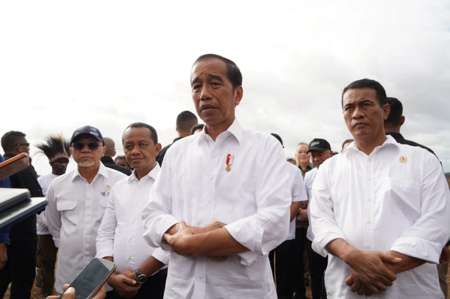 Jokowi, merauke, psn, papua